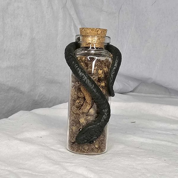 Resin filled Snake Glass Jar